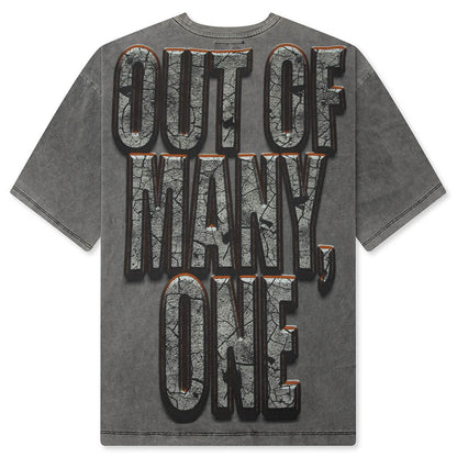 Liberty Ruins T-Shirt - Grey
