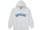 SUPREME ICY ARC HOODIE GREY